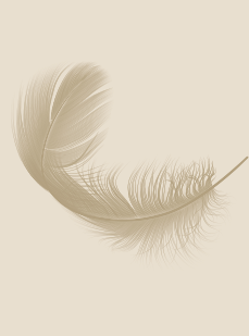 bereavement-229px-x-309px-bg.png